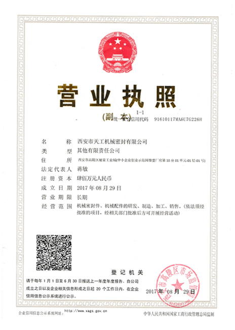 Xian Tiangong Business Certificate
